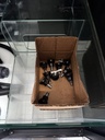 Cached website photo 10