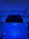 Cached website photo 5