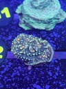 Cached website photo 3