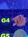 Cached website photo 1