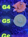 Cached website photo 1