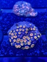 Cached website photo 3