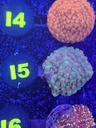 Cached website photo 1
