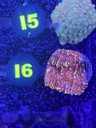 Cached website photo 3