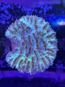 Cached website photo 3