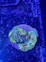 Cached website photo 3