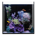 IceCap - 20 Gallon Cube AIO Rimless Glass Aquarium