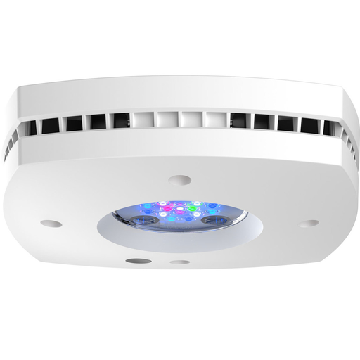 [653341191021] AquaIllumination - Prime 16 HD LED Reef Light - White Body